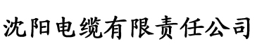 女将军和长公主电缆厂logo